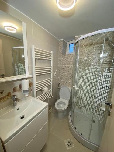 a bathroom with a shower and a toilet and a sink at Balkanic Villa Bran in Bran