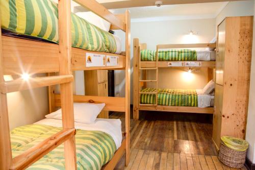 a bunk bed room with three bunk beds in it at Bear Packer Hostel in Cusco