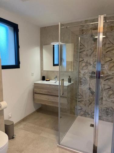 une salle de bain avec douche et lavabo dans l'établissement Appartement climatisé Pinarello, à Zonza