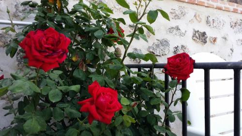 Fotografie z fotogalerie ubytování Hostal Chinchon v destinaci Chinchón