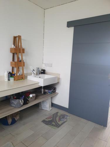 een badkamer met een wastafel en een spiegel bij Hermitage 