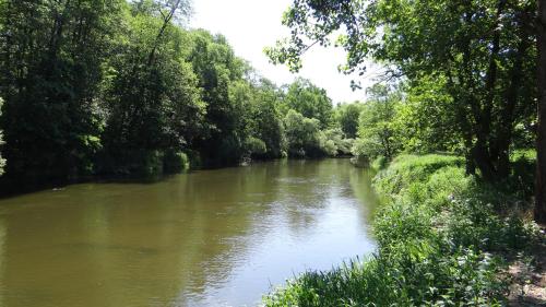 a river with trees on the side of it at Domek w Dolinie Drwęcy in Lubicz