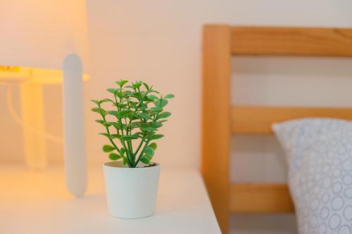 Ένα ή περισσότερα κρεβάτια σε δωμάτιο στο Mount Austin IKEA, AEON 10mins -Pool View- C115