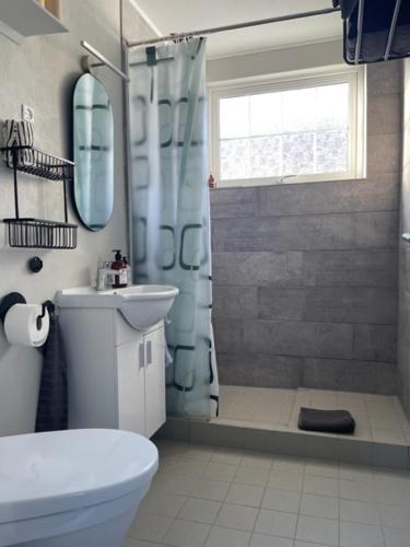 a bathroom with a shower and a toilet and a sink at Løkke-bo in Løkken