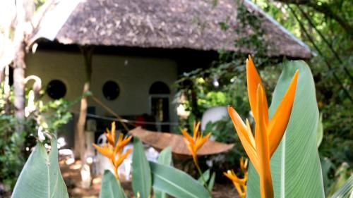 a house with a thatch roof and flowers in front of it at Kim's Garden in Anda