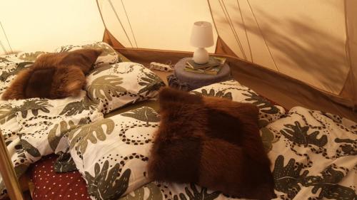 two dogs laying on top of a bed at Glamping Fluffy Horns - Glempings Pūkainie Ragi in Plieņciems