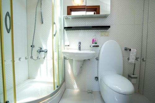 Ortaca的住宿－Villa w Pool and Balcony 3 min to Dalyan River，浴室配有卫生间、盥洗盆和淋浴。
