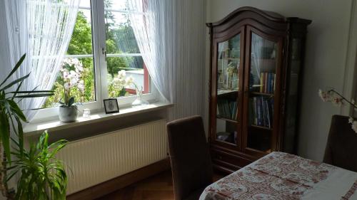 Zimmer mit Bücherregal und Fenster in der Unterkunft Apartment am Kunsthaus Nordhausen, 1 OG in Nordhausen