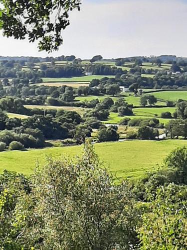 a view of a green field with trees at Yn Y Coed Tanyrallt in Llanybyther