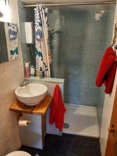 a bathroom with a sink and a shower at Y Smithy in Llanybydder