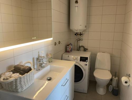 a bathroom with a sink and a washing machine at Stuga Ljungsjön in Falkenberg