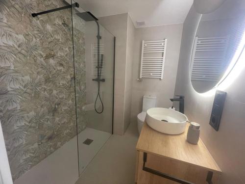 a bathroom with a sink and a shower at EL ARCO DE LA CATEDRAL in Burgos
