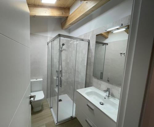 a bathroom with a shower and a sink and a toilet at APARTAMENTOS AREKORATAS 255 y 256 