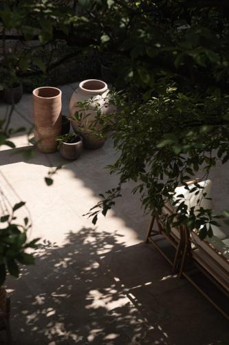 a group of potted plants sitting on a patio at The Sanctuary Urban Retreat in Rome