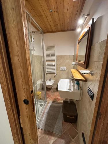 La salle de bains est pourvue de toilettes, d'un lavabo et d'une douche. dans l'établissement Casa Olivera, à Limone Piemonte