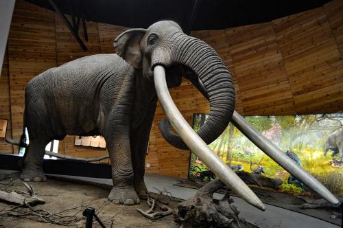 a statue of an elephant with tusks on display at Gold Infinity in Velingrad