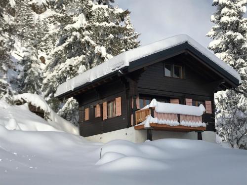 a cabin in the snow with snow covered trees at Chalet Eichhornli, Riederalp Golmenegg in Riederalp