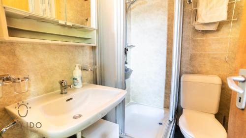 a bathroom with a sink and a shower and a toilet at Chalet Eichhornli, Riederalp Golmenegg in Riederalp