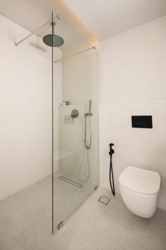 a bathroom with a glass shower and a toilet at Anapollo Boutique Hotel Adults Only in Naxos Chora