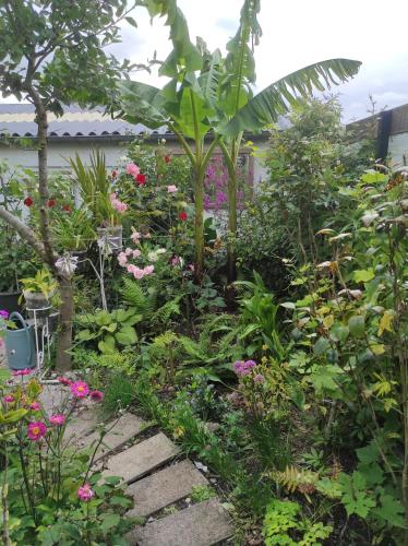 a garden with many different flowers and plants at vacances 34 in Le Crotoy