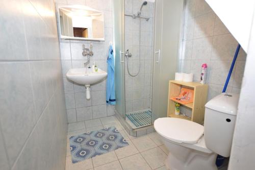 La salle de bains est pourvue de toilettes, d'un lavabo et d'une douche. dans l'établissement Apartma Šťastný III, à Bechyně