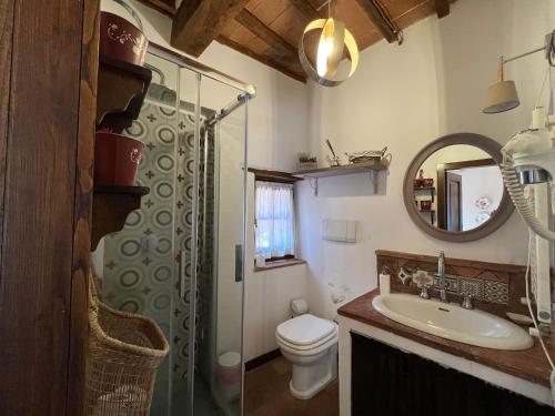 een badkamer met een douche, een toilet en een wastafel bij La Soffitta della Nonna Nanna in Pitigliano
