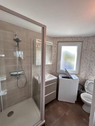 ein Bad mit einer Dusche, einem WC und einem Fenster in der Unterkunft appartement 4 couchages in Balaruc-les-Bains
