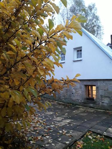 a white house with a tree in front of it at Bušeranda - depandance Hotelu U Zeleného stromu in Děčín
