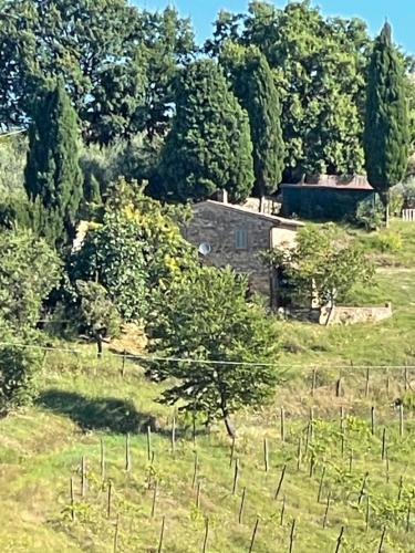 a farm with a field with trees and a building at CasaMoira in Trequanda