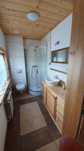 a bathroom with a shower and a sink and a toilet at Agro Karasiewo in Karasiewo