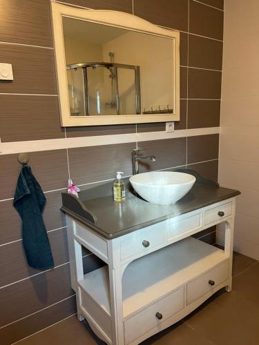 a bathroom with a sink and a mirror at Charmante maison avec piscine in Artignosc-sur-Verdon