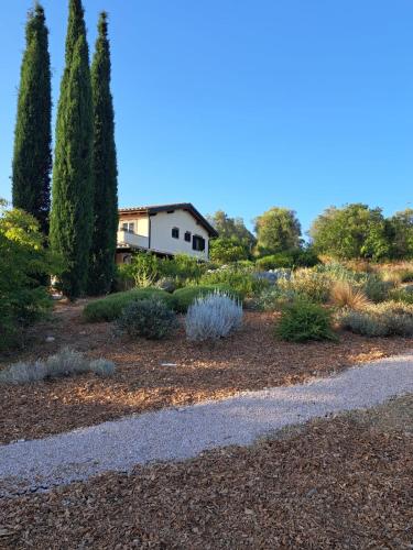 a garden with trees and a house in the background at Casale Terre Rosse Garden in Saturnia