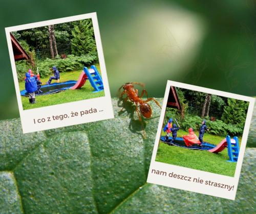 two pictures of a playground with a spider on a leaf at Chata Góralska Aggeusz in Wisła