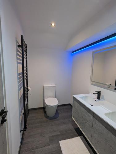 a bathroom with a toilet and a sink at The Wolfe Inn Wolfscastle in Haverfordwest