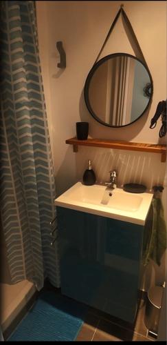 une salle de bain avec un lavabo et un miroir dans l'établissement studio climatisé, indépendant avec baie vitrée et jolie terrasse, à Coulommiers