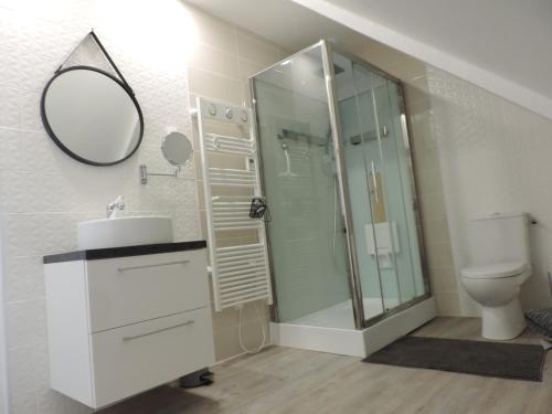 een badkamer met een douche, een wastafel en een toilet bij Relais Du Boss in Saint-Vran