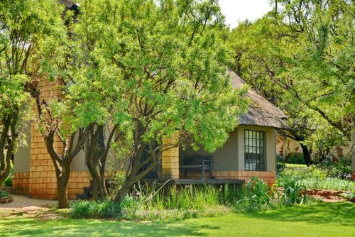 a small house with a bench in front of a tree at African Hills Safari Lodge & Spa in Magaliesburg