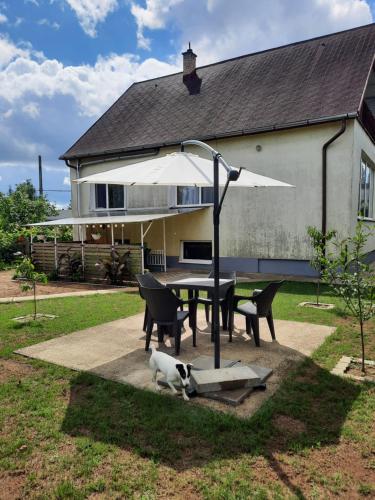 stół, krzesła i parasol przed domem w obiekcie Opál Apartman w Nyíregyházie
