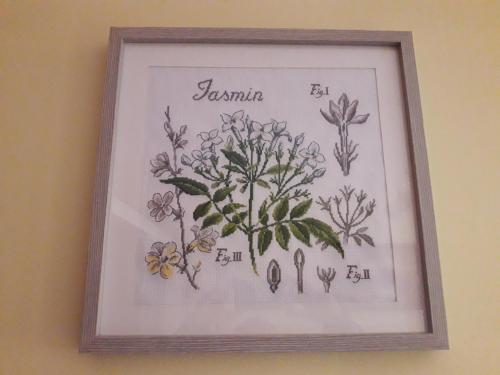 une image encadrée de fleurs sur un mur dans l'établissement Apartament *Jasmine*, à Dąbrowa Górnicza