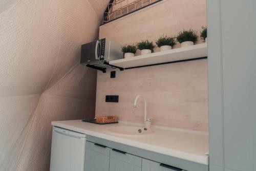 a kitchen with a sink and a shelf with potted plants at O'MIR glamping эко-отель Актау in Kyzylkum