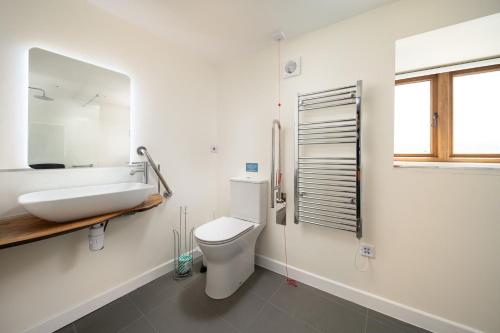 a white bathroom with a sink and a toilet at Orchard View in Stoke Rivers