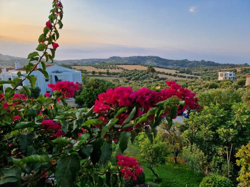 カッサンドレイアにあるCountry house with amazing sea viewのギャラリーの写真