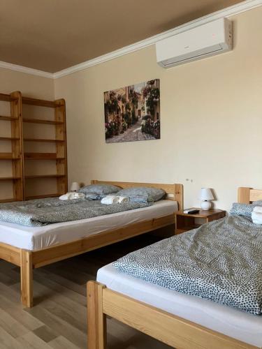 - une chambre avec 2 lits et un ventilateur dans l'établissement Bagolyvár Vendégház II, à Abádszalók