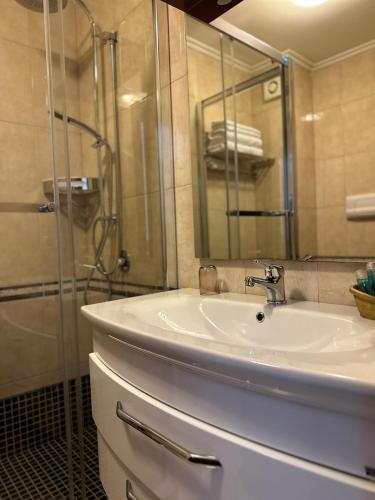 a bathroom with a sink and a shower at Dinasty Hotel in Tirana