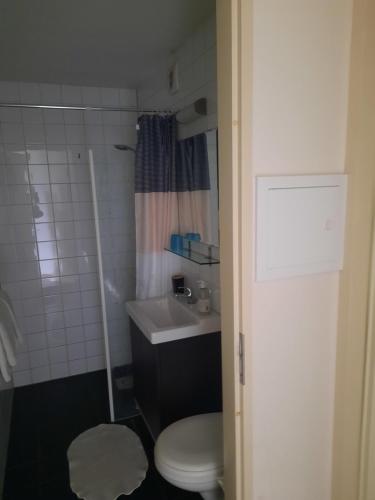 a small bathroom with a toilet and a sink at Quarenta Studio in Amsterdam