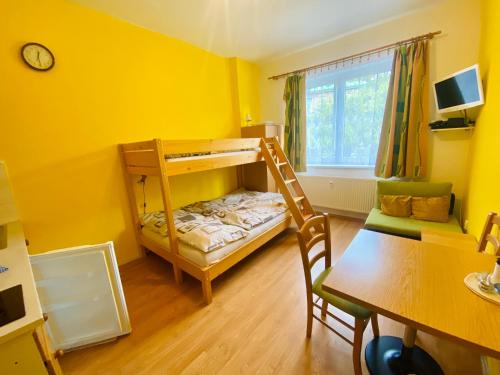 a small room with a bunk bed and a table at Apartmány Červenohorské sedlo in Kouty