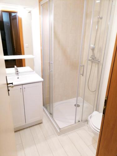 ein Bad mit einer Dusche, einem WC und einem Waschbecken in der Unterkunft Maison de 3 chambres avec jardin amenage et wifi a Taintrux in Taintrux