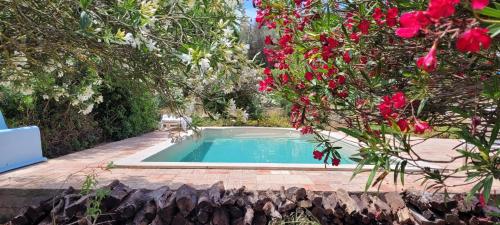 una piscina in un giardino con fiori rossi di Casa do Poço a Burgau