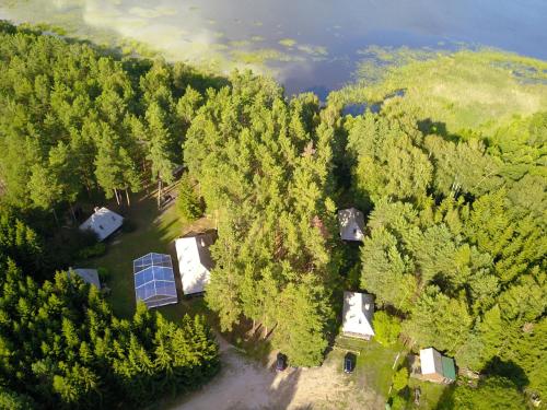 an aerial view of a group of trees and a lake at Gungas in Ādaži