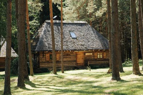 a log cabin in the middle of a forest at Gungas in Ādaži